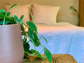 Vakantiewoning Guesthouse MOMO